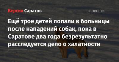 Ещё трое детей попали в больницы после нападений собак, пока в Саратове два года безрезультатно расследуется дело о халатности - nversia.ru - Саратов