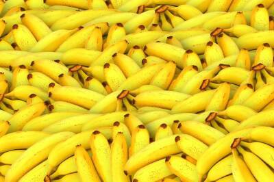 Производители бананов в Эквадоре попросили поддержки от властей из-за антироссийских санкций - news.vse42.ru - Россия - Эквадор