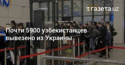 Почти 5900 узбекистанцев вывезено из Украины - gazeta.uz - Украина - Узбекистан - Львов