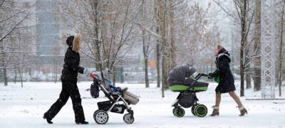 В Петрозаводске мошенники оставили без денег двух женщин с колясками - stolicaonego.ru - Петрозаводск - республика Карелия