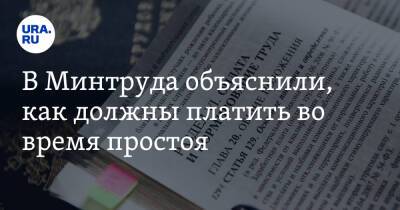 Владимир Путин - Дмитрий Григоренко - В Минтруда объяснили, как должны платить во время простоя - ura.news - Россия