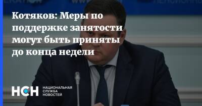 Антон Котяков - Котяков: Меры по поддержке занятости могут быть приняты до конца недели - nsn.fm - Россия