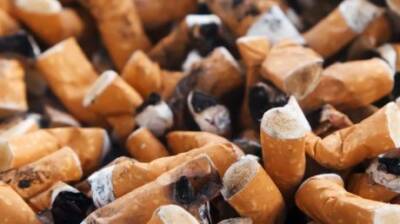 Philip Morris - Табачная компания признала зависимость России от поставок из-за рубежа - penzainform.ru - Россия - Украина