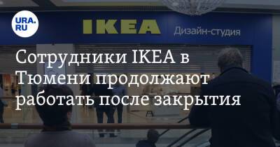 Владимир Путин - Сотрудники IKEA в Тюмени продолжают работать после закрытия. Инсайд - ura.news - Россия - Украина - Тюмень - Швеция - Донецкая обл.