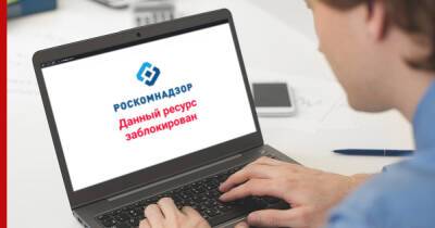 Александр Хинштейн - В России уже заблокировано около 20 популярных сервисов VPN - profile.ru - Россия