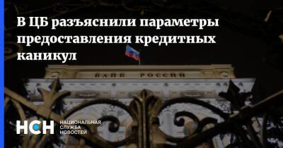 В ЦБ разъяснили параметры предоставления кредитных каникул - nsn.fm - Россия