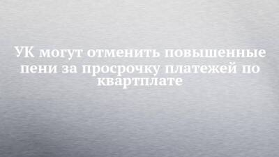 Владимир Путин - УК могут отменить повышенные пени за просрочку платежей по квартплате - chelny-izvest.ru - Россия - Набережные Челны