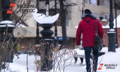 В Екатеринбурге квартальных инспекторов наделят властью наказывать вандалов - fedpress.ru - Екатеринбург