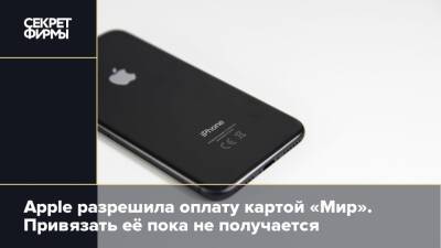 Apple разрешила оплату картой «Мир». Привязать её пока не получается - secretmag.ru