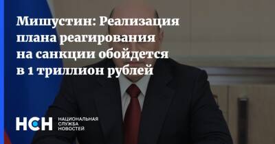 Михаил Мишустин - Мишустин: Реализация плана реагирования на санкции обойдется в 1 триллион рублей - nsn.fm - Россия