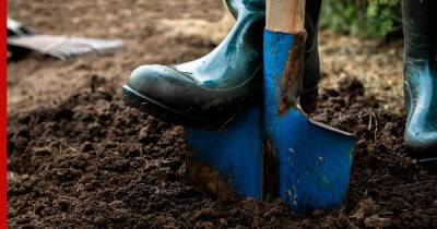 Как часто нужно перекапывать почву на участке: 4 совета для садоводов - profile.ru