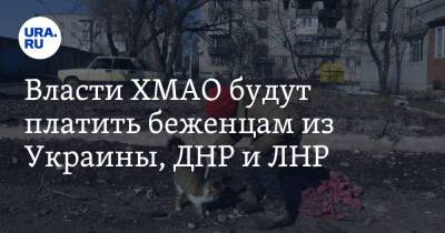 Наталья Комарова - Власти ХМАО будут платить беженцам из Украины, ДНР и ЛНР - ura.news - Украина - ДНР - Минеральные Воды - ЛНР - Сургут - Югра