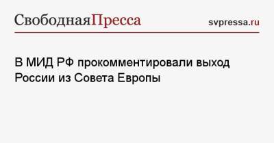 Петр Толстой - В МИД РФ прокомментировали выход России из Совета Европы - svpressa.ru - Москва - Россия - Китай - США - Украина