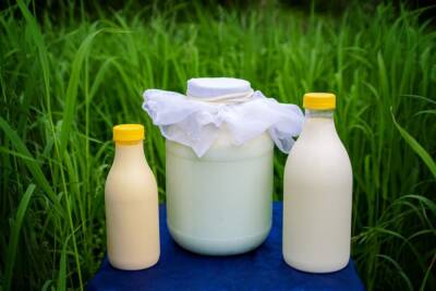 Российские производители сообщили о сокращении поставок молочной продукции - news.vse42.ru - Россия