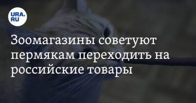 Зоомагазины советуют пермякам переходить на российские товары - ura.news - Россия - Украина - Пермь