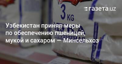 Узбекистан - Узбекистан принял меры по обеспечению пшеницей, мукой и сахаром — Минсельхоз - gazeta.uz - Россия - Казахстан - Узбекистан - Киргизия - Таджикистан - Афганистан