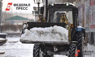 Полина Зиновьева - О будущем снежного циклона в Приморье сказали синоптики - fedpress.ru - Приморье край - Владивосток