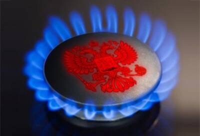 Евросоюз не имеет технической возможности отказаться от российского газа - rf-smi.ru - Германия