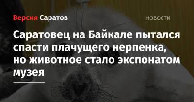 Саратовец на Байкале пытался спасти плачущего нерпенка, но животное стало экспонатом музея - nversia.ru - Саратова