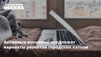 Активные москвичи предложат варианты развития городских катков - vm.ru - Москва - Россия