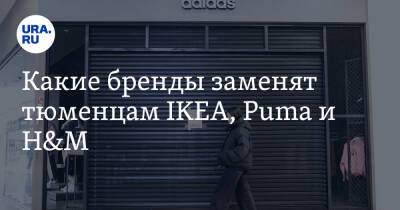 Владимир Путин - Leroy Merlin - Какие бренды заменят тюменцам IKEA, Puma и H&M. Фото - ura.news - Россия - Украина - Тюмень