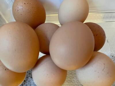 УФАС Башкирии требует от «Пятерочки» ограничить цены на куриные яйца - rosbalt.ru - Башкирия