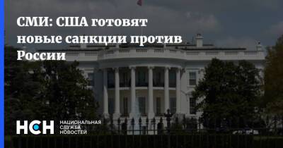 Владимир Зеленский - Владимир Путин - СМИ: США готовят новые санкции против России - nsn.fm - Россия - США