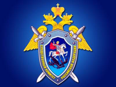 Ника Белоцерковская - На блогера Нику Белоцерковскую завели дело о фейках про армию РФ - rosbalt.ru - Россия - Украина - Монако