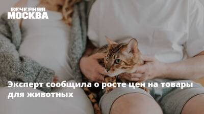 Эксперт сообщила о росте цен на товары для животных - vm.ru - Россия