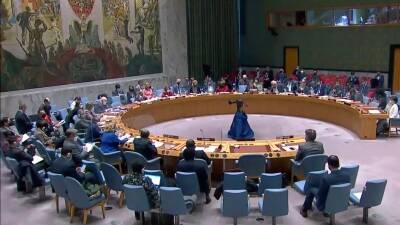 Совета Безопасности - США, Великобритания запросили заседание Совета Безопасности ООН - golos-ameriki.ru - Норвегия - США - Украина - Англия - Франция - Ирландия - Албания