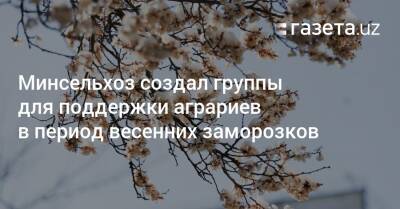 Минсельхоз создал группы для поддержки аграриев в период весенних заморозков - gazeta.uz - Узбекистан