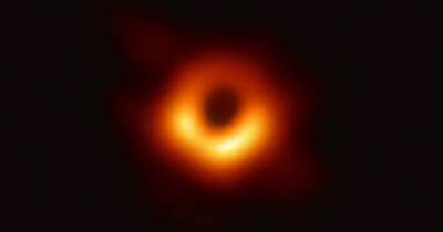 Стивен Хокинг - Ученые считают, что разгадали парадокс черной дыры Стивена Хокинга - focus.ua - Украина - Англия