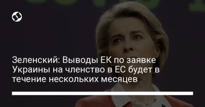 Матти Маасикас - Зеленский: Выводы ЕК по заявке Украины на членство в ЕС будет в течение нескольких месяцев - liga.net - Украина - Ляйен