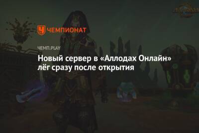 Новый сервер в «Аллодах Онлайн» лёг сразу после открытия - championat.com - Россия