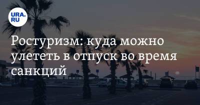 Владимир Путин - Зарина Догузова - Ростуризм: куда можно улететь в отпуск во время санкций - ura.news - Россия - Китай - США - Украина - Египет - Турция - Мексика - Венесуэла - Индия - Канада - Куба - Эмираты - Вьетнам - Тунис - Доминиканская Республика
