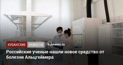 Российские ученые нашли новое средство от болезни Альцгеймера - kubnews.ru - Россия