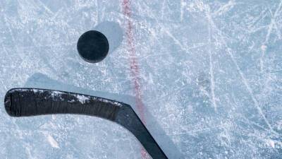 Люк Тардиф - Глава IIHF объяснил отказ переноса из России ЧМ-2023 по хоккею - russian.rt.com - Россия - Санкт-Петербург - Белоруссия