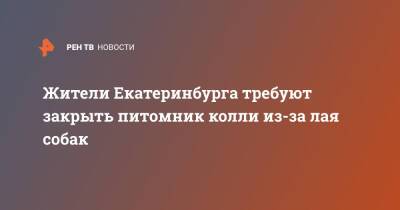 Жители Екатеринбурга требуют закрыть питомник колли из-за лая собак - ren.tv - Екатеринбург