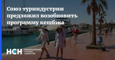 Юрий Барзыкин - Союз туриндустрии предложил возобновить программу кешбэка - nsn.fm - Россия