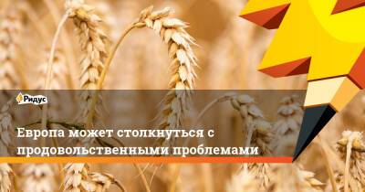 Европа может столкнуться с продовольственными проблемами - ridus.ru - Россия - Китай - США - Украина - Нью-Йорк - Индия