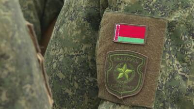 Александр Лукашенко - Анатолий Глаз - МИД Белоруссии: Минск не участвует в операции на Украине и не намерен это делать - russian.rt.com - Украина - Белоруссия - Минск