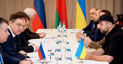 Владимир Зеленский - Переговоры Украины и РФ состоятся сегодня вечером - СМИ - focus.ua - Россия - Украина - Переговоры