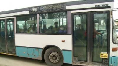 В Пензенской области цены на проезд в дачных автобусах не изменятся - penzainform.ru - Пензенская обл. - Пенза