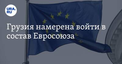 Ираклий Кобахидзе - Грузия намерена войти в состав Евросоюза - ura.news - Россия - Украина - Грузия