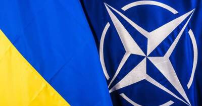 86% украинцев – за сотрудничество с НАТО, но поддержка вступления в Альянс упала - dsnews.ua - Украина - Крым - Англия - Лондон - Польша