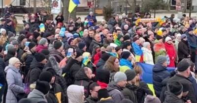 В Бердянске люди вышли против оккупации: их стали избивать и задерживать (ВИДЕО) - dsnews.ua - Украина - Херсон - Бердянск - Бердянск