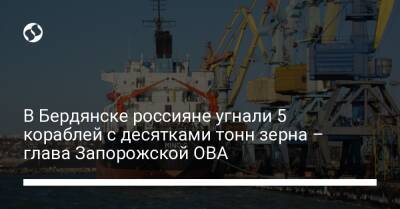 Алексей Гончаренко - Александр Старух - В Бердянске россияне угнали 5 кораблей с десятками тонн зерна – глава Запорожской ОВА - liga.net - Украина - Бердянск