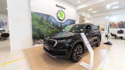 Открыт для знакомств – презентация обновленного ŠKODA KODIAQ прошла в АТЛАНТ-М ТУШИНО - usedcars.ru - Москва