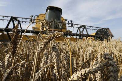 Дмитрий Рылько - Россия в марте может экспортировать более 2 млн тонн пшеницы, прогнозирует эксперт - smartmoney.one - Россия - Египет - Турция - Новороссийск - Reuters