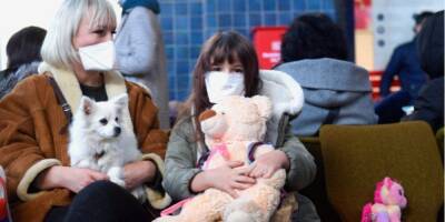 Около полумиллиона украинских беженцев в Польше нуждаются в психологической помощи — ВОЗ - nv.ua - Россия - Украина - Польша